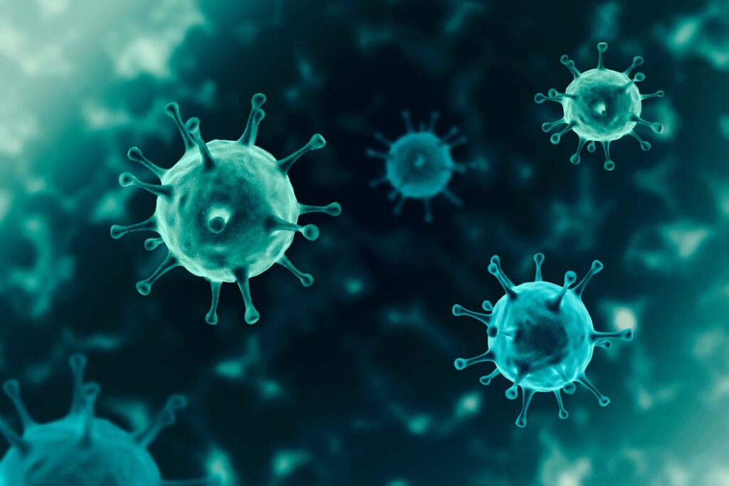 virus close up