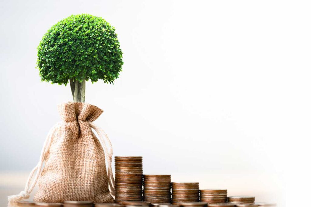 stacks of coins next to a tree in a sack