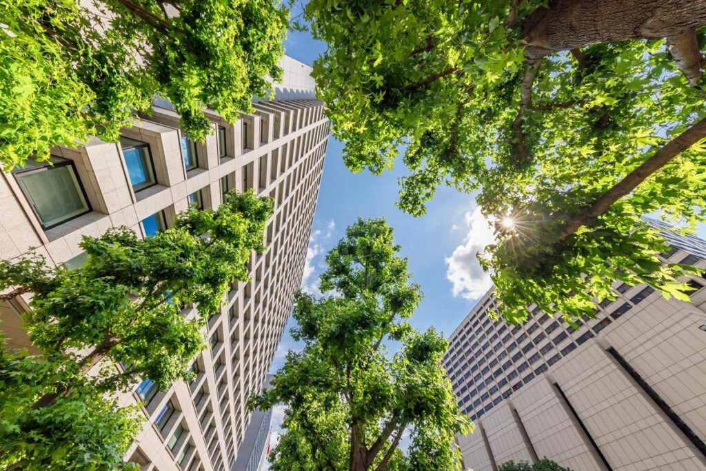 trees amongst buildings