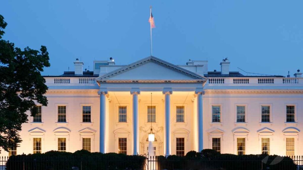 Navigating the Impact of the Federal Financial Assistance Pause